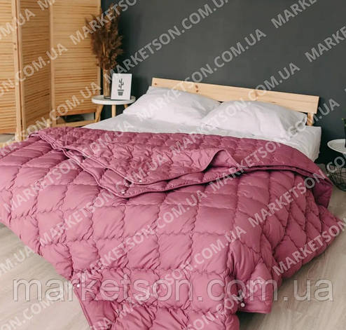 Ковдра 4 сезони зима літо євро розмір 200х220, фото 1