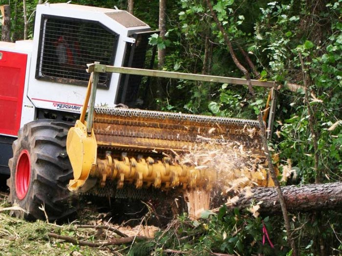 Лісовий Мульчер Seppi Midiforst, фото 1