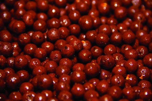 Бойли Dynamite Baits The Source Boilie 1kg 12 mm