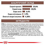 Сухий корм для дорослих собак Royal Canin Gastro Intestinal Dog 2 кг, фото 2