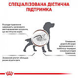 Сухий корм для дорослих собак Royal Canin Gastro Intestinal Dog 2 кг, фото 7