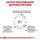 Сухой корм Royal Canin Gastrointestinal Puppy - для щенков при нарушениях пищеварения 2.5 кг, фото 3