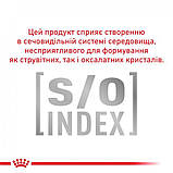 Вологий корм для дорослих собак Royal Canin Satiety Weight Management Dog Cans 0.41 кг, фото 3