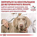 Лікувальний сухий корм для собак Royal Canin Hypoallergenic Canine 2 кг, фото 4