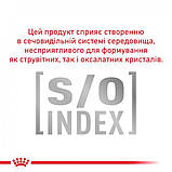 Лікувальний сухий корм для котів Royal Canin Diabetic Feline страждають на цукровий діабет, 1.5кг, фото 3