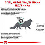 Лікувальний сухий корм для котів Royal Canin Diabetic Feline страждають на цукровий діабет, 1.5кг, фото 5