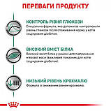 Лікувальний сухий корм для котів Royal Canin Diabetic Feline страждають на цукровий діабет, 1.5кг, фото 9
