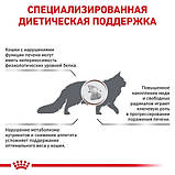 Сухий корм для кішок Royal Canin HEPATIC при захворюваннях печінки у кішок 2кг, фото 4