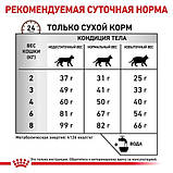 Сухий корм для кішок Royal Canin HEPATIC при захворюваннях печінки у кішок 2кг, фото 6