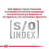 Лікувальний сухий корм для котів Royal Canin Urinary S/O, 1.5кг, фото 4