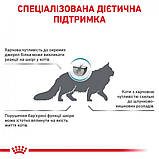 Сухой корм для дорослих кішок Royal Canin Hypoallergenic Cat 400 г, фото 8