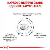 Сухой корм для дорослих кішок Royal Canin Hypoallergenic Cat 400 г, фото 5