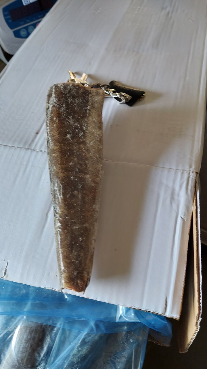 Купить Хек Тушка 300/500 с/м в Киеве от компании "Беттер Фудс" - 1613313939