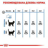 Сухой корм для котів Royal Canin Light Weight Care 400 г, фото 3