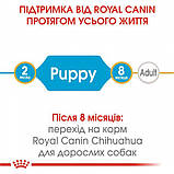 Сухий корм для цуценят Royal Canin Chihuahua Puppy 0.5 кг, фото 5