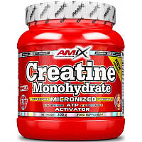 Amix creatine monohydrate 300 g