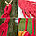 Гамак Підвісний Мексиканський Тканинний Gammek Gk208R 200X80 См, фото 6