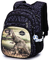 Рюкзак школьный ортопедический для мальчика в 1-4 класс серый 3D рисунок Динозавр SkyName R3-247
