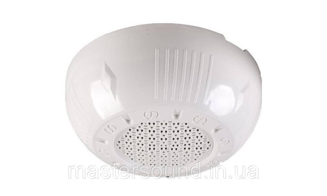 Стельовий динамік L-Frank Audio HSR125-6T, фото 1