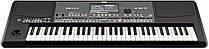 Робоча станція Korg PA600 QT