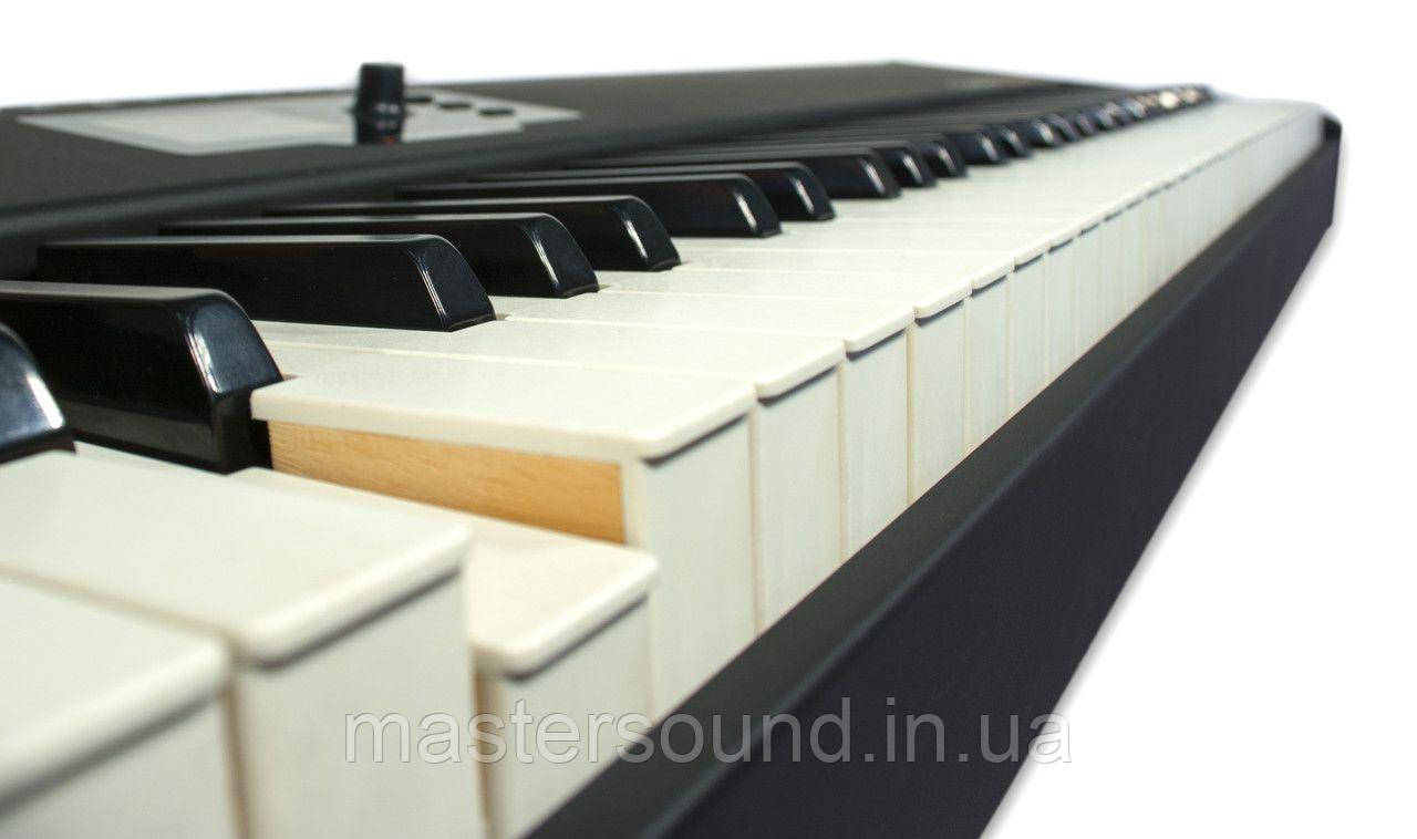 MIDI клавиатура Fatar-Studiologic SL88 Grand - фото 3 - id-p1197110195