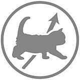 Заменитель молока Royal Canin BabyCat Milk 100 г для котят с рождения,ціна за 1 пакетик, фото 4