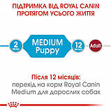 Сухой корм для щенков Royal Canin Medium Puppy 1 кг, фото 2