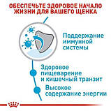 Сухий корм Royal Canin X-Small Puppy для собак мелких пород весом до 4кг до 10 месяцев 1,5кг, фото 4