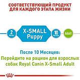 Сухий корм Royal Canin X-Small Puppy для собак мелких пород весом до 4кг до 10 месяцев 1,5кг, фото 6