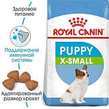 Сухий корм Royal Canin X-Small Puppy для собак мелких пород весом до 4кг до 10 месяцев 1,5кг, фото 3