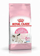 Корм для котят 1-4 мес. Royal Canin Babycat 400 г