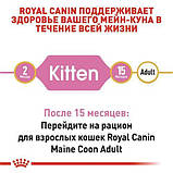 Сухой корм для кошек Royal Canin MAINE COON KITTEN для котят породы Мейн-кун 400г, фото 6