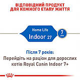 Сухой корм для домашних кошек Royal Canin Indoor 4 кг, фото 4