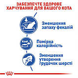 Сухой корм для домашних кошек Royal Canin Indoor 4 кг, фото 6