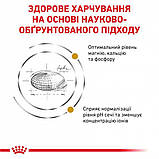 Сухой корм для взрослых кошек Royal Canin Urinary S/O Cat 3.5 кг, фото 2