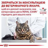 Сухой корм для взрослых кошек Royal Canin Urinary S/O Cat 3.5 кг, фото 8