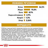 Сухой корм для взрослых кошек Royal Canin Urinary S/O Cat 3.5 кг, фото 7