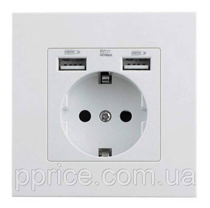 Розетка з USB портами і заземленням 220V стаціонарна, фото 1