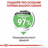 Сухой корм для собак Royal Canin Maxi Digestive Care 10 кг, фото 4