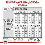 Сухой корм для собак Royal Canin Maxi Digestive Care 10 кг, фото 6
