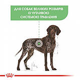 Сухой корм для собак Royal Canin Maxi Digestive Care 10 кг, фото 2