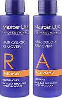 Засіб для видалення фарби з волосся Master LUX professional