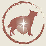 Сухой полнорационный корм Purina Dog Chow для взрослых собак склонных к аллергии с лососем 2.5 кг, фото 3