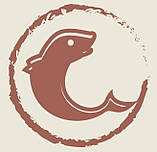 Сухой полнорационный корм Purina Dog Chow для взрослых собак склонных к аллергии с лососем 2.5 кг, фото 5