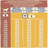 Сухой корм для взрослых активных собак Purina Dog Chow Active Adult со вкусом курицы 2.5 кг, фото 2