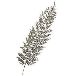 Декоративна гілка "Срібна папороть" Solar Moon