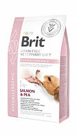 Сухой диетический корм для собак при пищевой аллергии Brit GF VetDiets Dog Hypoallergenic с лососем 2 кг