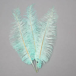Страусине перо 55 см бірюзовий Solar Moon