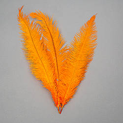 Страусине перо 55 см Помаранчевий Solar Moon