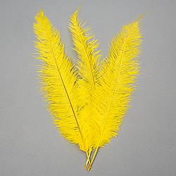 Страусине перо 55 см Solar Moon